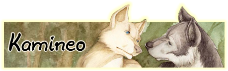 kamineo_banner